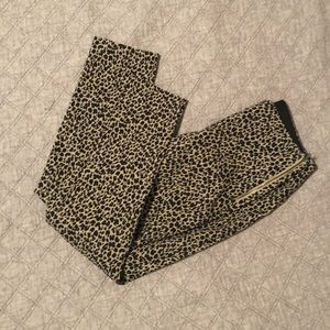 Leopard print slacks (stretchy, super comfortable)
